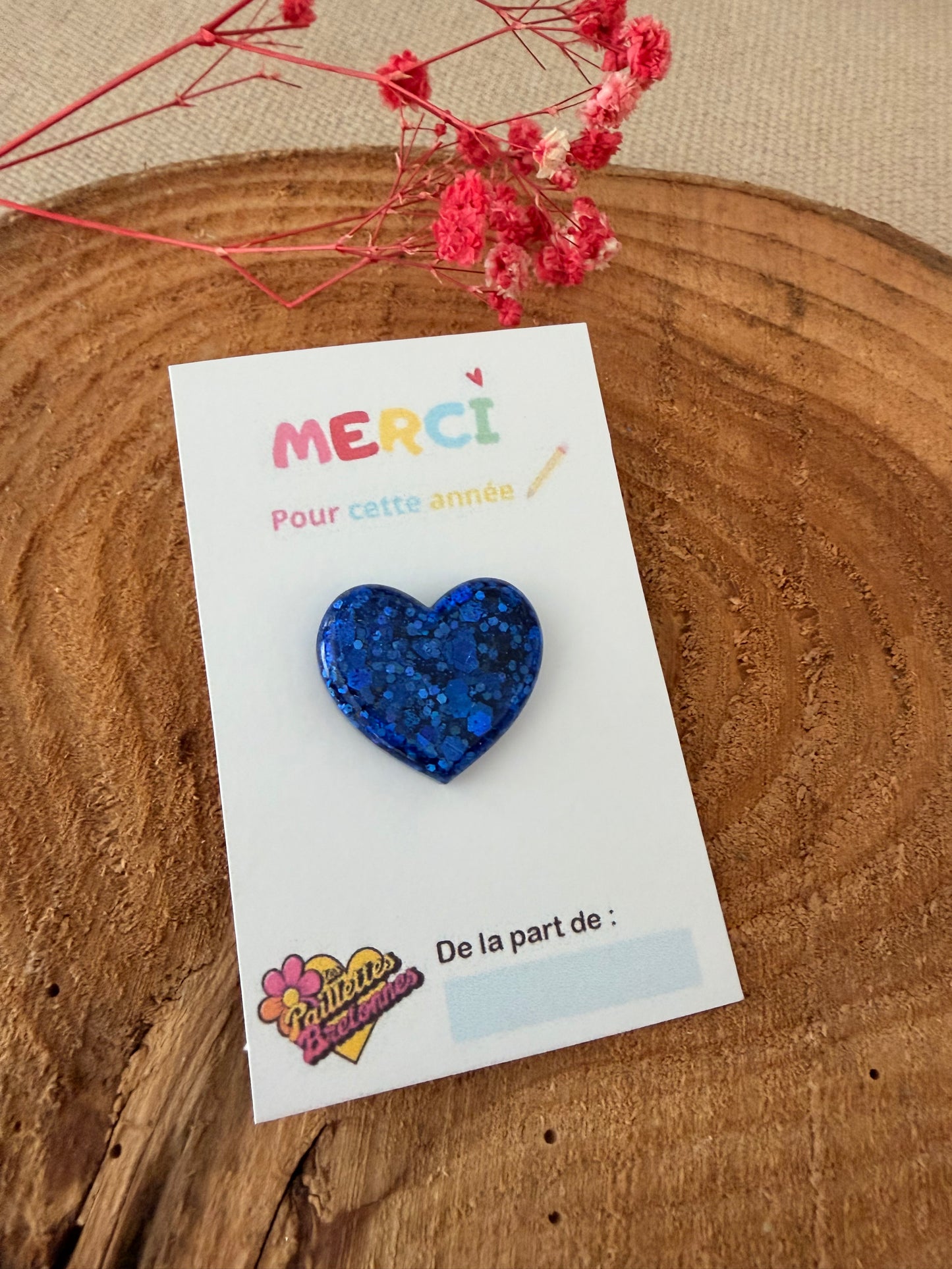 Pin’s Merci Maitresse