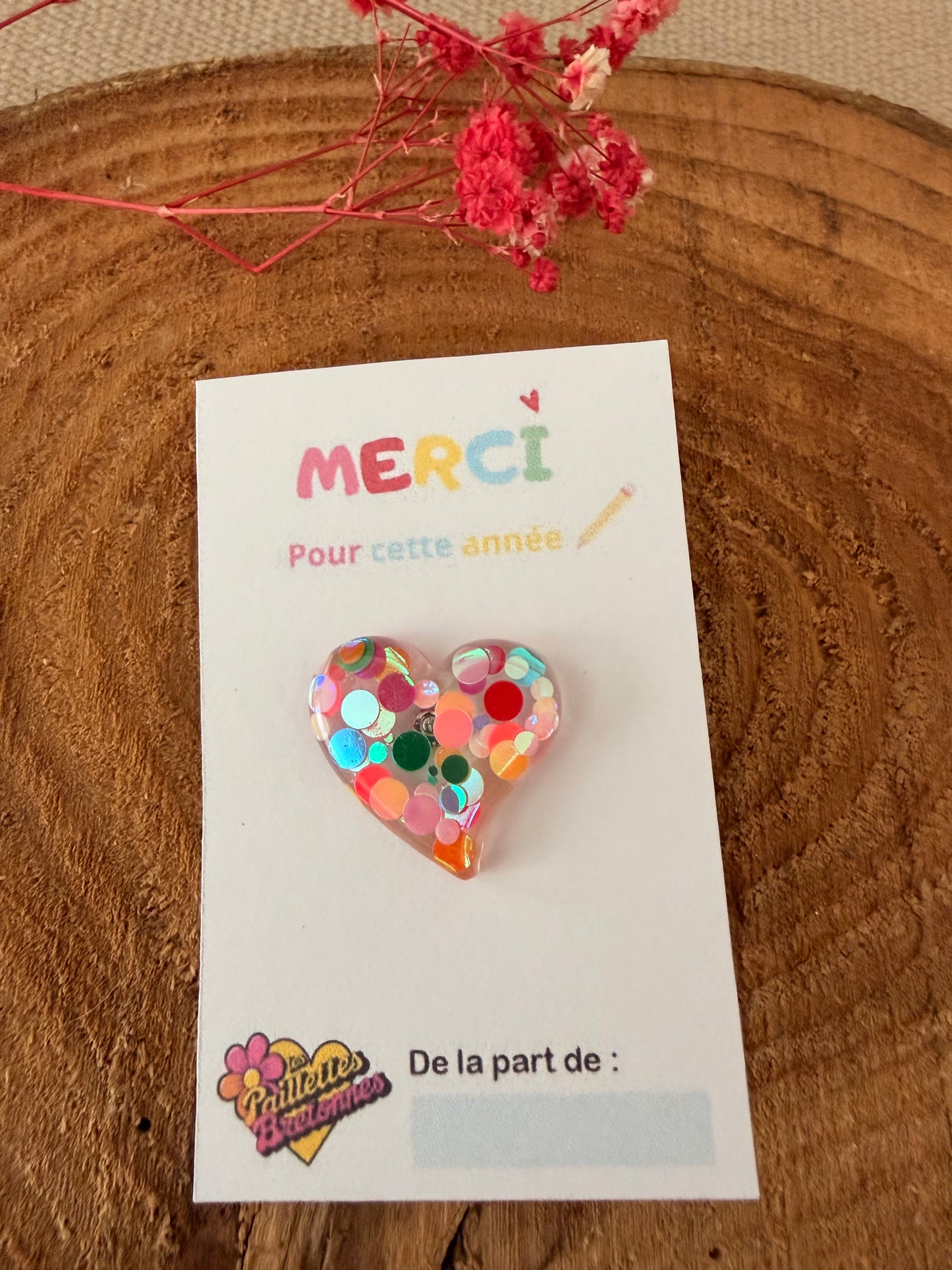 Pin’s Merci Maitresse